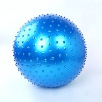 Unisex Fitness Ball PVC 0.65 M Blue